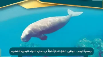 رسمياً اليوم.. أبوظبي تحقق إنجازاً بارزاً في حماية الحياة البحرية الفطرية